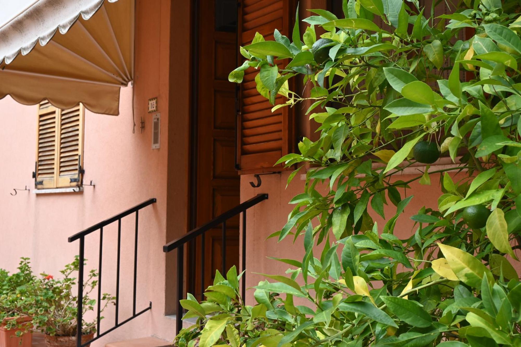 N080 - Numana, Bilocale Con Terrazzo In Centro Daire Sirolo Dış mekan fotoğraf
